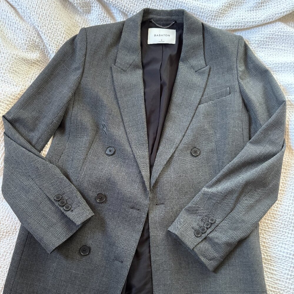 Aritzia Babaton Blazer